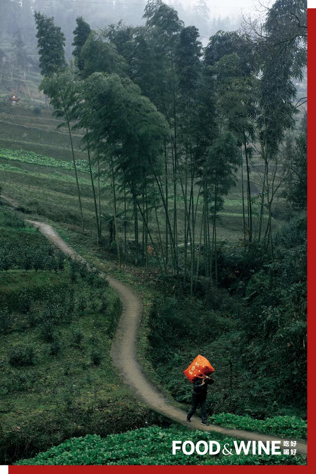 最美村宴第四辑丨四川苔草村·往后就都是好日子了