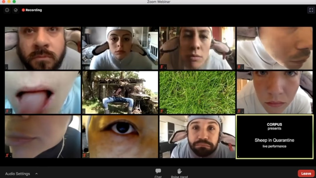 加拿大舞团harry,加拿大舞团模仿羊