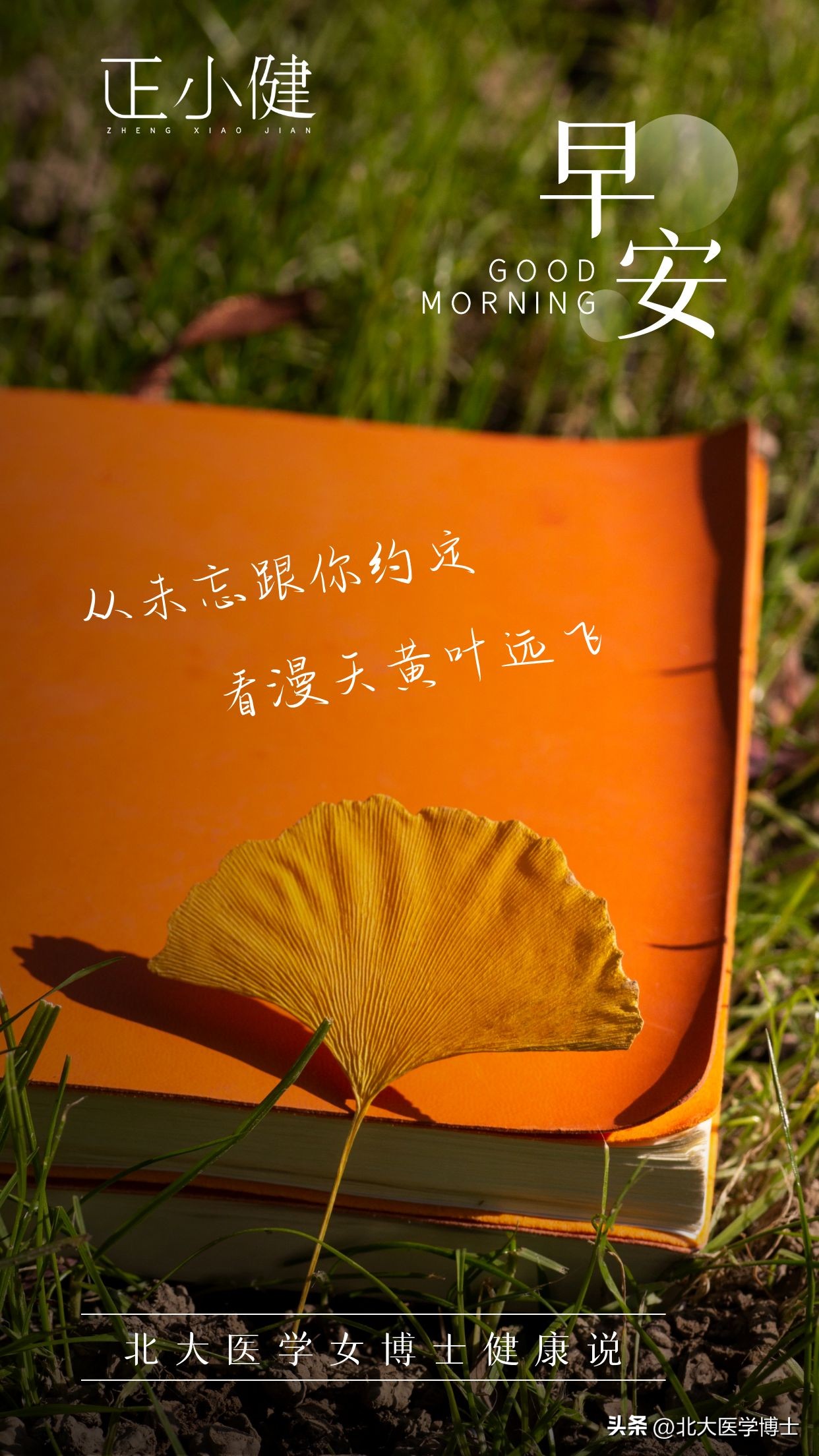 痛风的初期调理方剂,痛风怎么治四妙汤才能断根