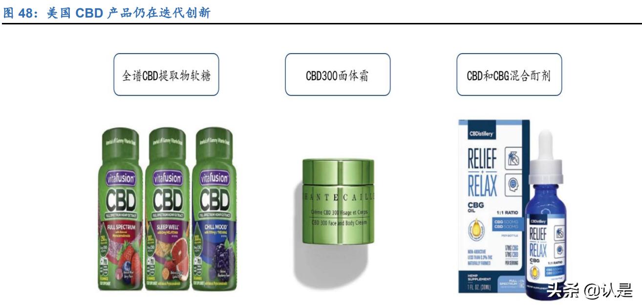 工业大麻的未来发展,工业大麻的未来前景