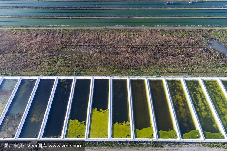 海水养殖产业发展现状调查,中国海水养殖业的发展历程