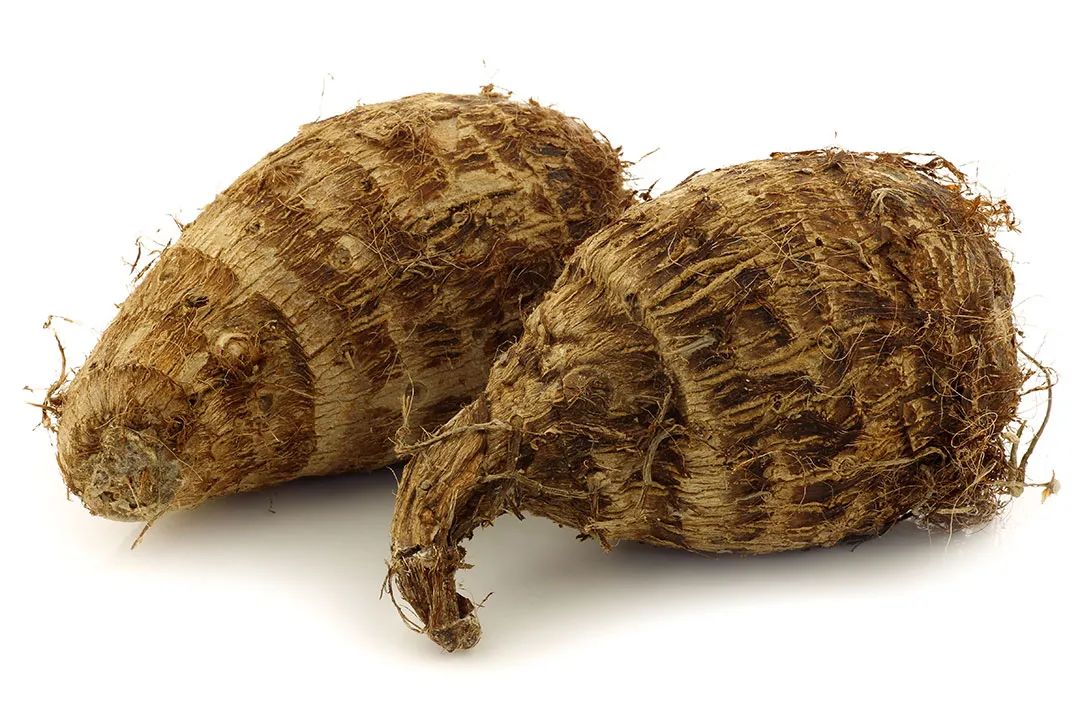 芋头高产窍门,芋头高产高效品种