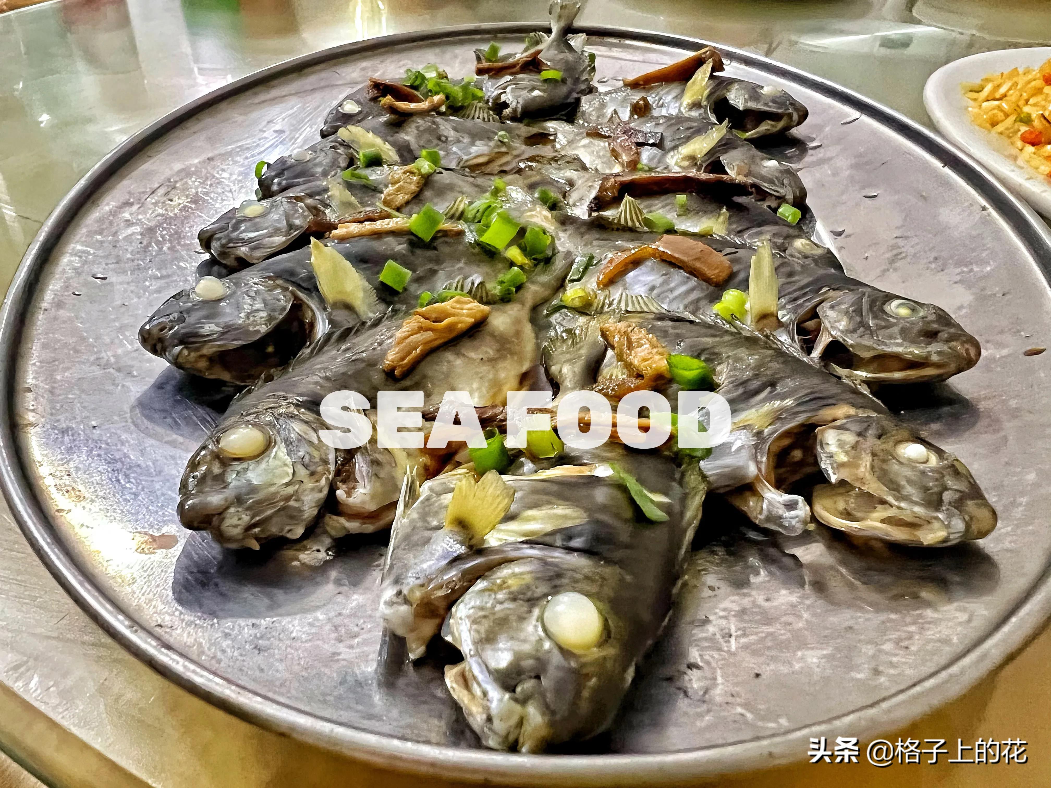 惠州有哪些小渔村好玩,惠州渔村