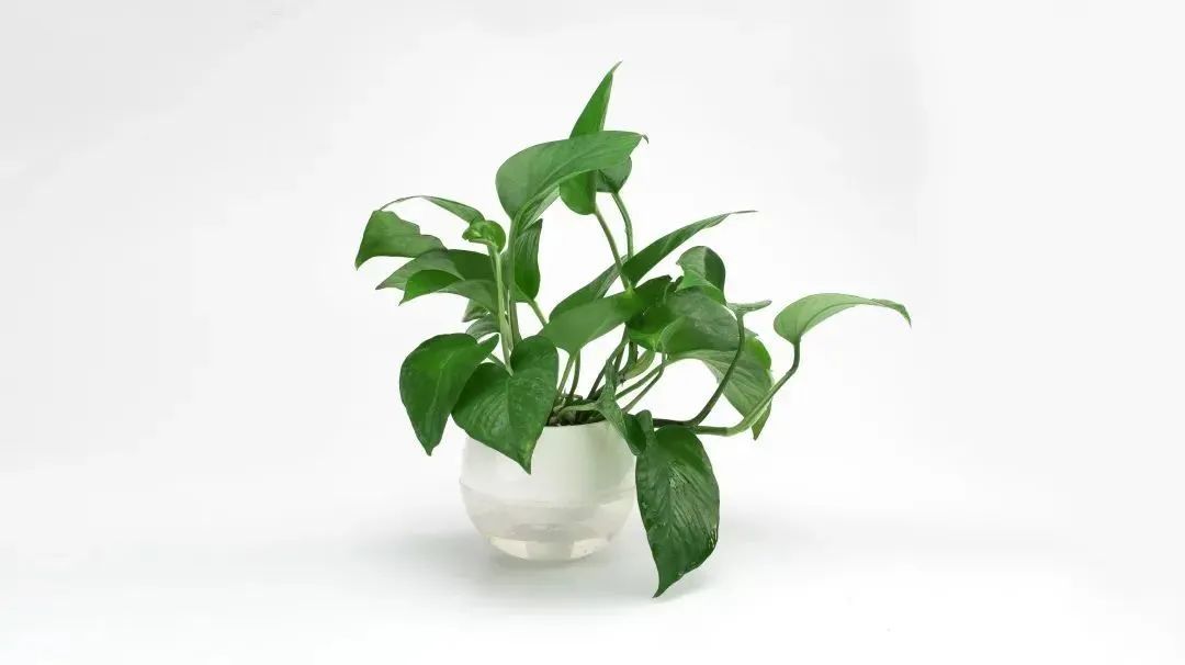 世界杯熬夜用眼,世界杯熬夜看球与养生