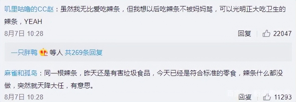 卫龙辣条一年的营业额是多少,卫龙辣条市场状况及市场前景分析