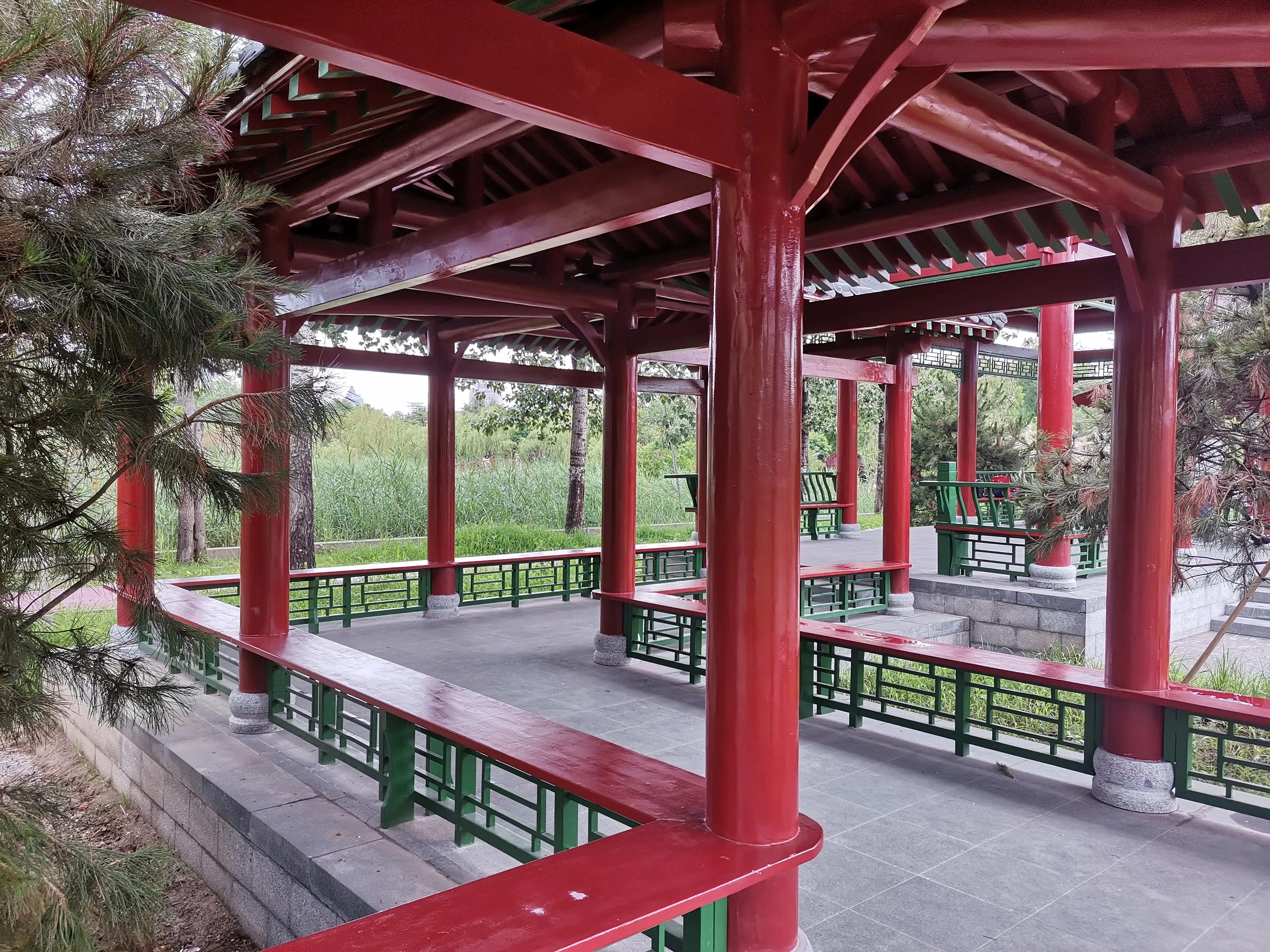 大雨过后的天津,大雨后的公园视频