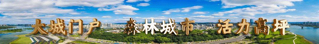 南充市新冠疫情防控最新38号公告,南充新冠疫情最新动态