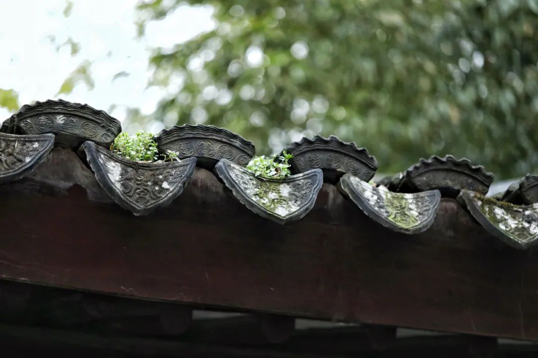 20部国学名著200句总结出的名句,120部名著听书国学精粹合集