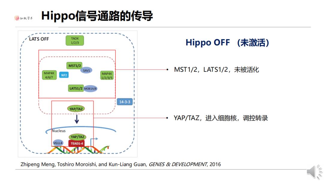 信号通路差异分析,常见的信号通路