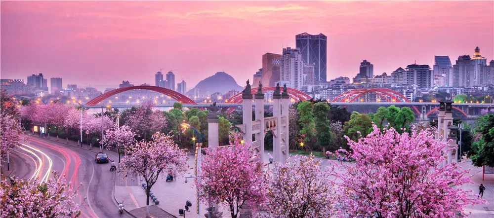 春天，我想到一座城，吃粉粉，看粉粉