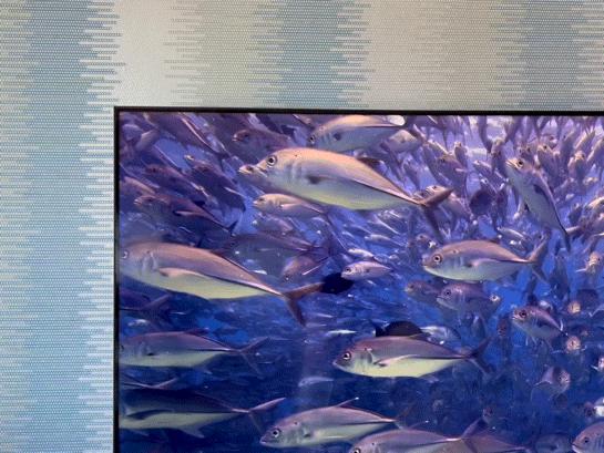 tcl75t8emax玩ps5,驾驭1080p游戏大作无压力