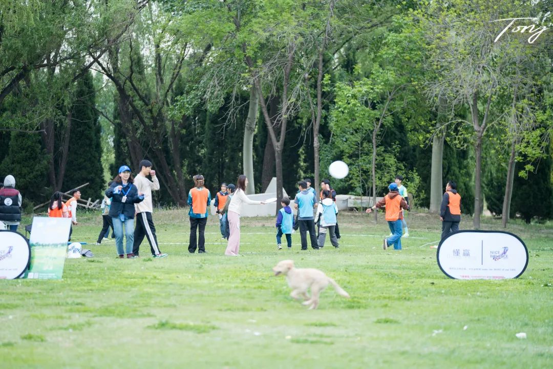 东营森林公园露营节,东营露营节