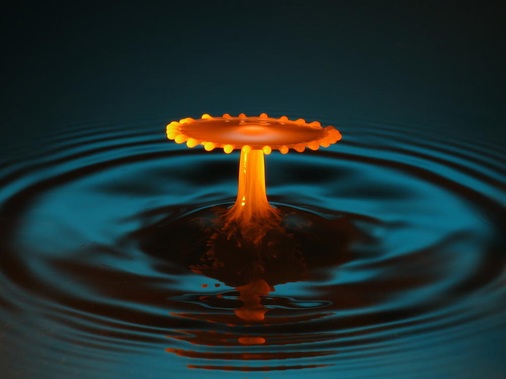 盟固利上市首日实时走势,盟固利上市飙升超1700%录屏