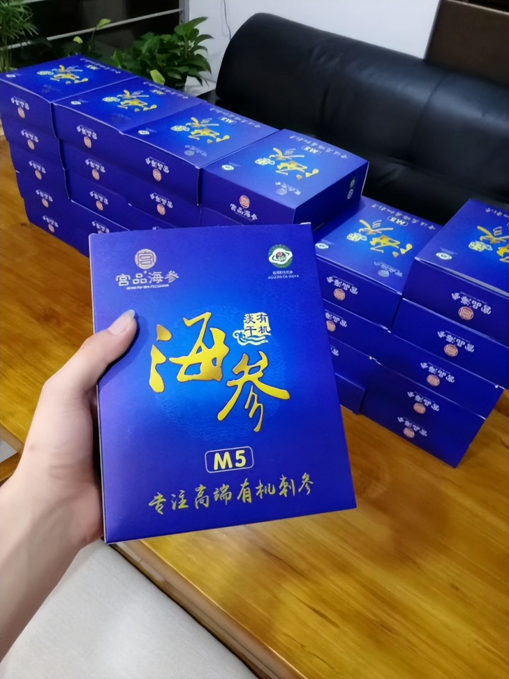 大连活海参优惠团购,大连海参特价