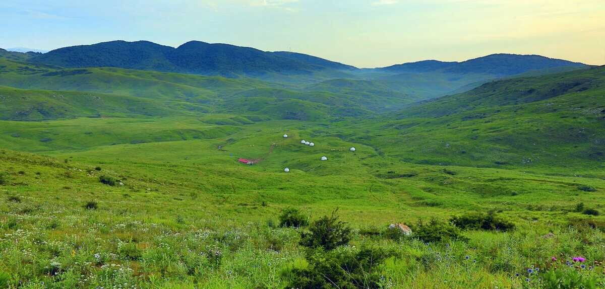 周人为什么叫周,周人秦人是夏人后裔么