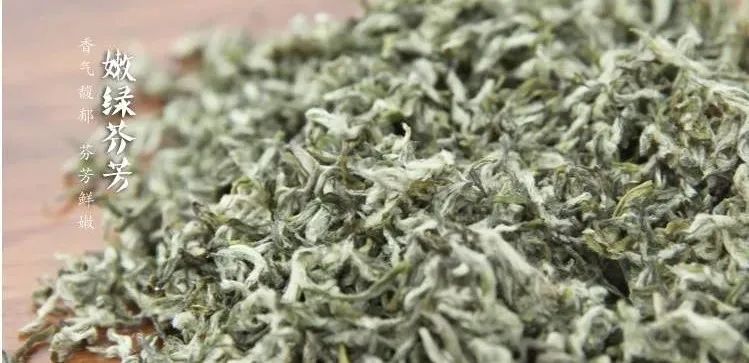 碧螺春茶和绿茶推荐哪种,碧螺春与绿茶哪一个好