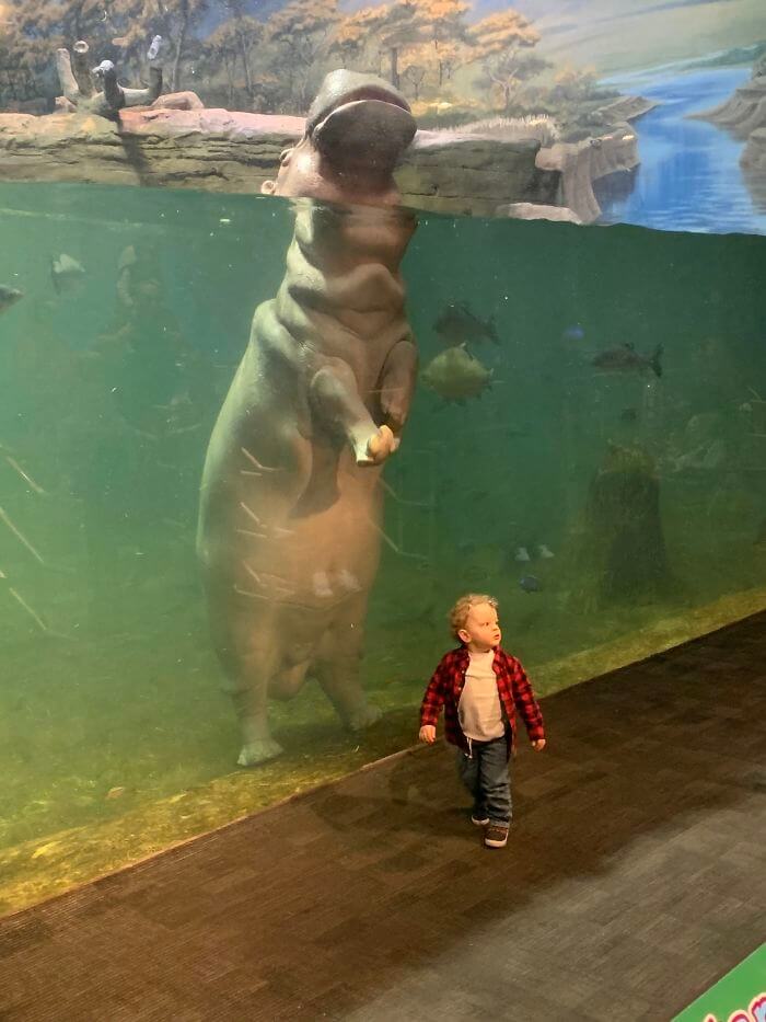 世上最难以置信的十种动物,你没有过的36个罕见动物事实