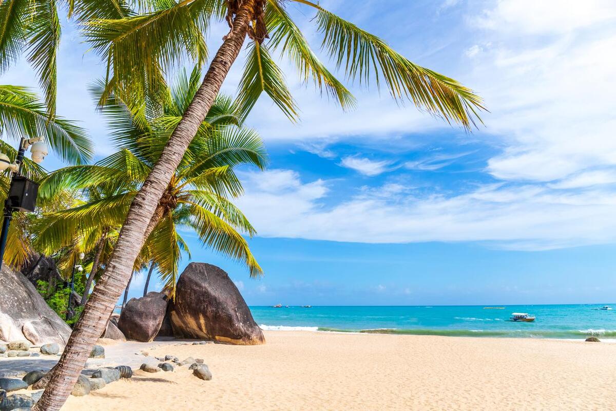 天涯社区关停解读,天涯社区衰落原因