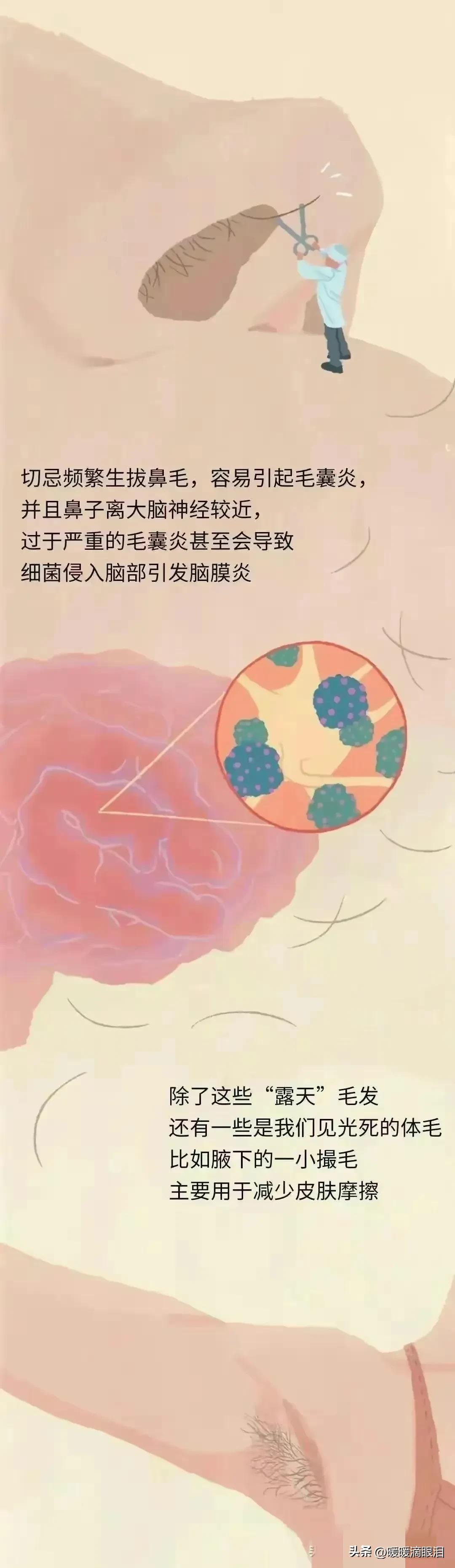 人类的毛发为什么是鳞片状,人类的毛发都是黑色的吗