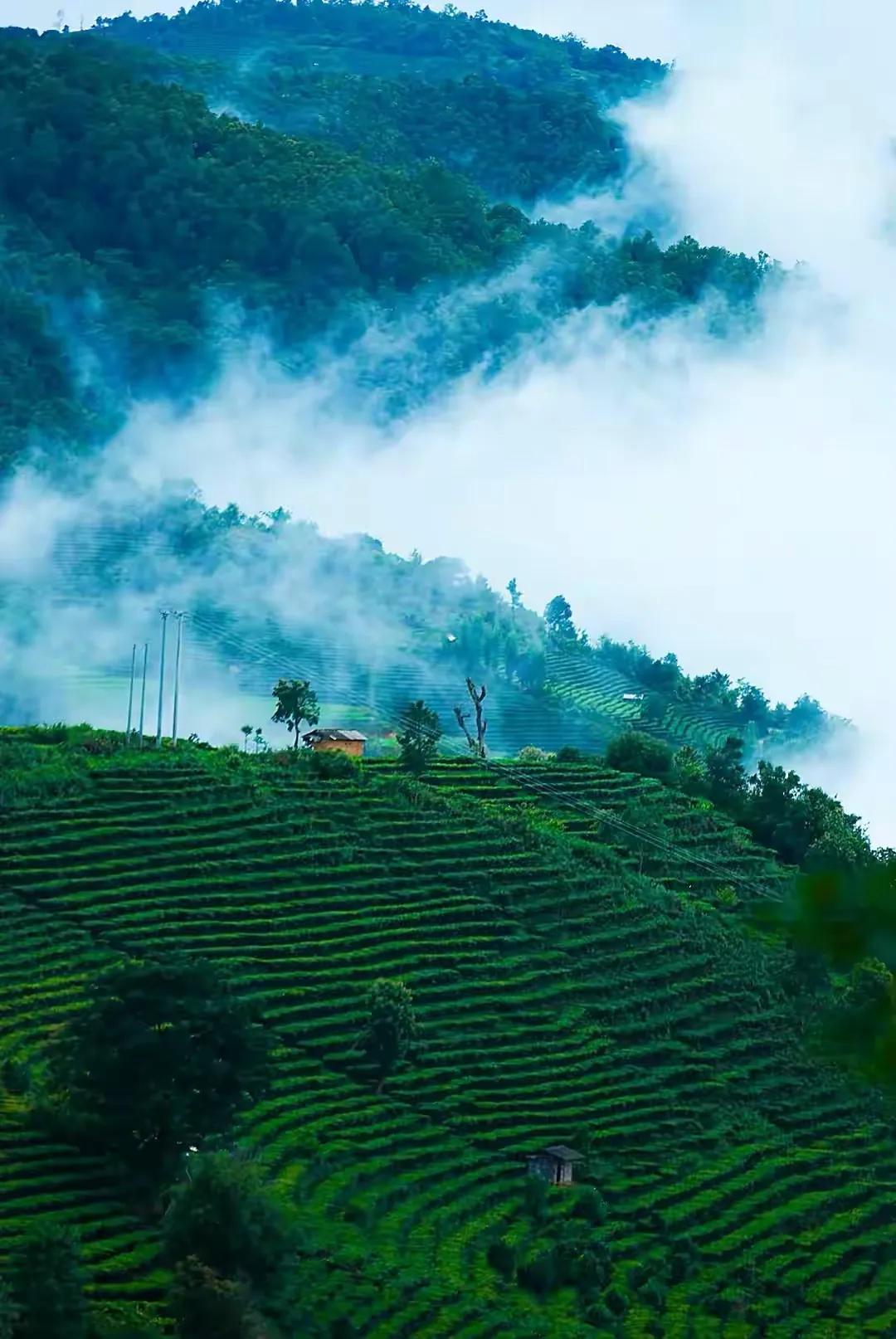 云南普洱景迈山旅游,普洱景迈山风景区
