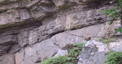 聊聊我为啥买蔚来es6,佳能eosr3价格多少钱