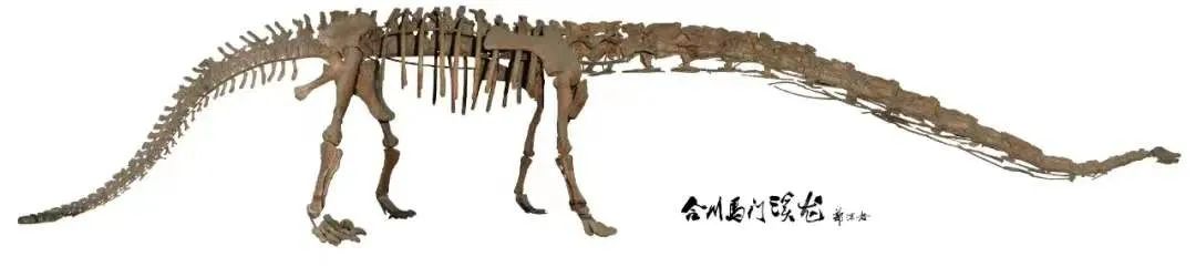 成都二仙桥属于哪个区,成都二仙桥