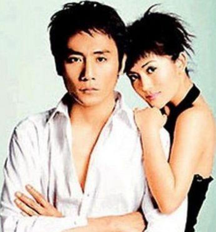 刘烨和谢娜现在结婚了吗,刘烨老婆安娜谢娜