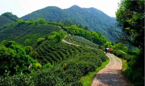 杭州好玩的地方和景点排行榜,杭州周边好玩的地方景点免费