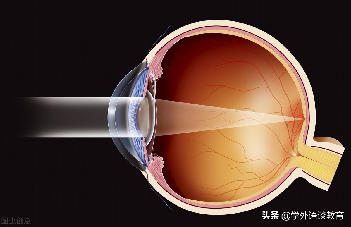 如何写英语四级议论文,如何写英语作文的高级句型