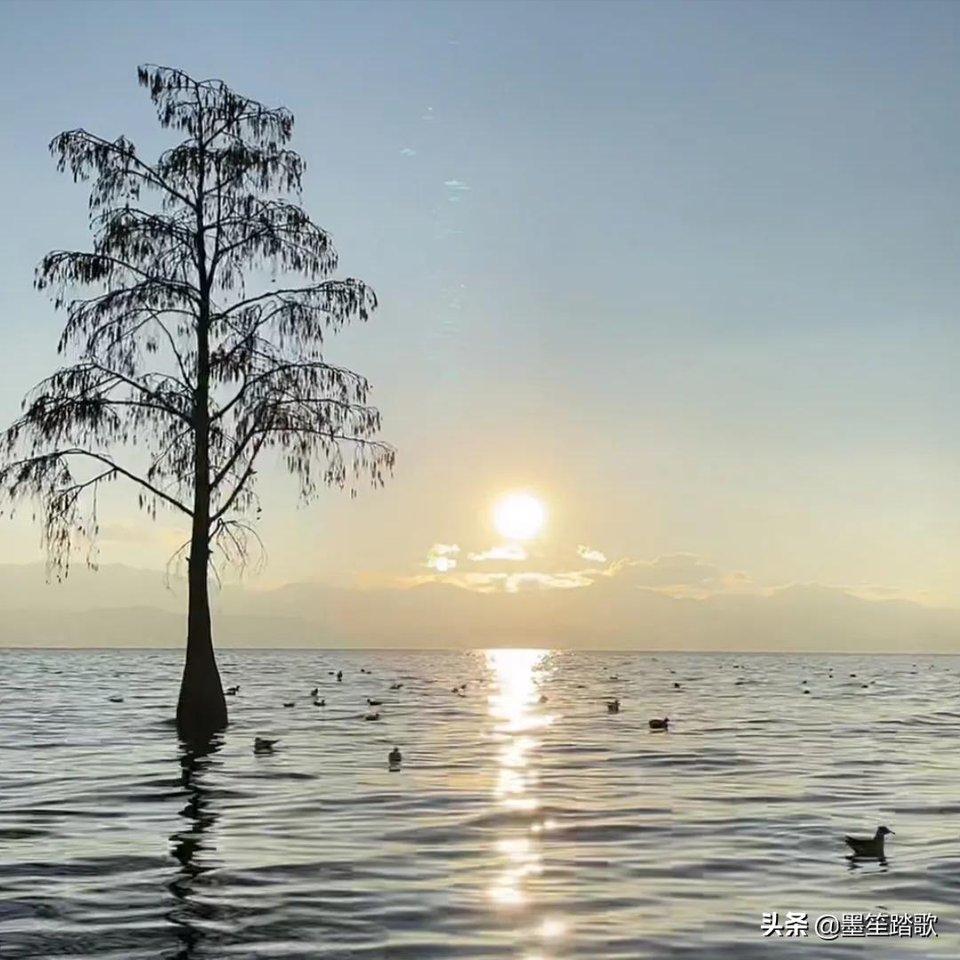 那段忘不了的记忆,那段再也回不去的记忆