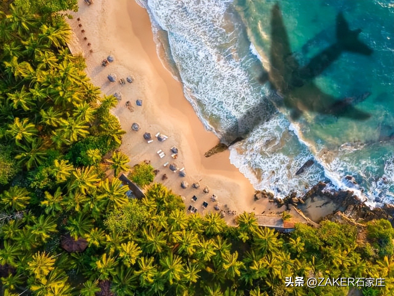 早新闻3.3|石家庄市劳动监察举报热线变更；这类考试将于3月4日至3月7日举行；这场招聘会就业岗位5万余个