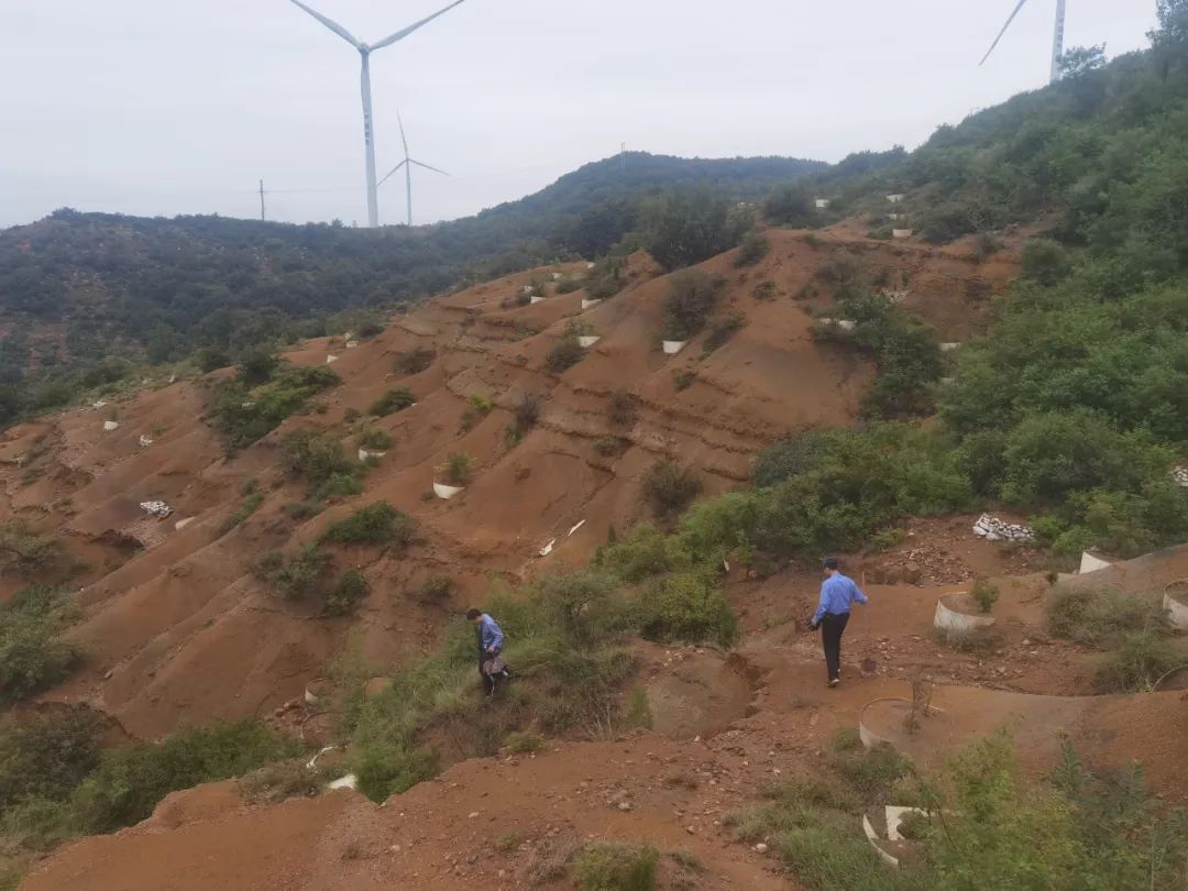 湿地保护公益诉讼典型案例,最高检河道治理公益诉讼典型案例