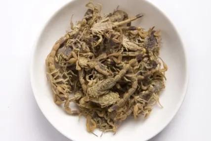 解痉息风止痉最顶级中药,菊花有息风止痉的功效吗