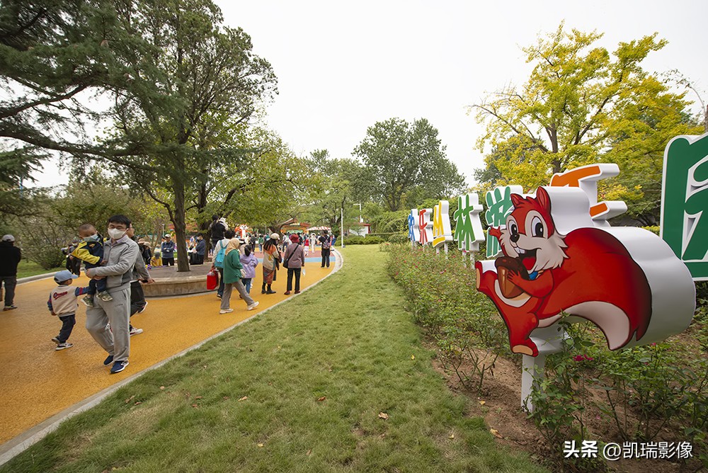 青岛中山公园游玩附近攻略,青岛中山公园游玩攻略