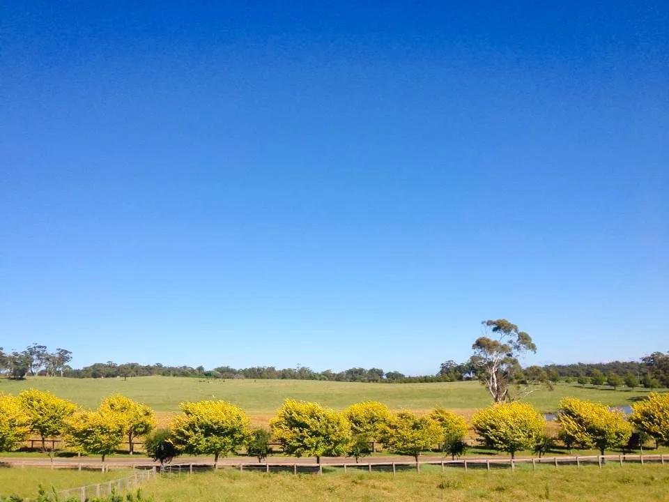 病毒肆虐全球,病毒肆虐全球高清