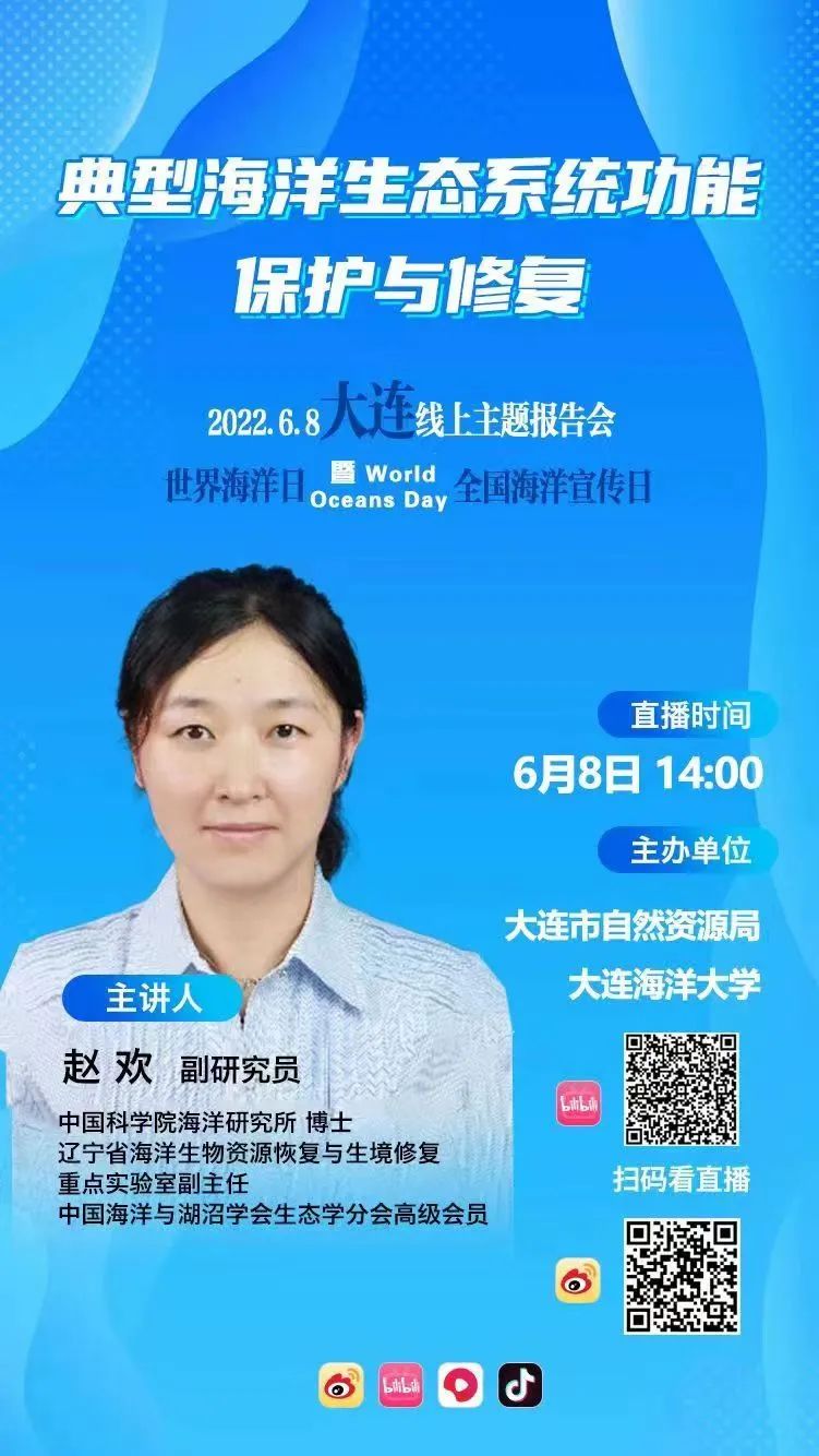 大连的海今天什么样,今天的海是什么样子