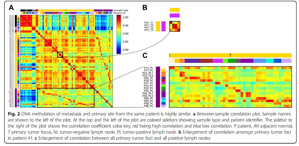 dna甲基化防癌检测的卖点,dna甲基化利器