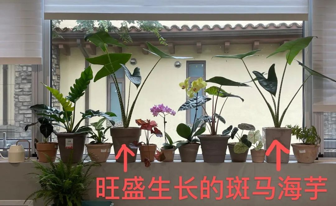 生意难做时怎样做才能挣到钱,做赚钱生意5大秘诀