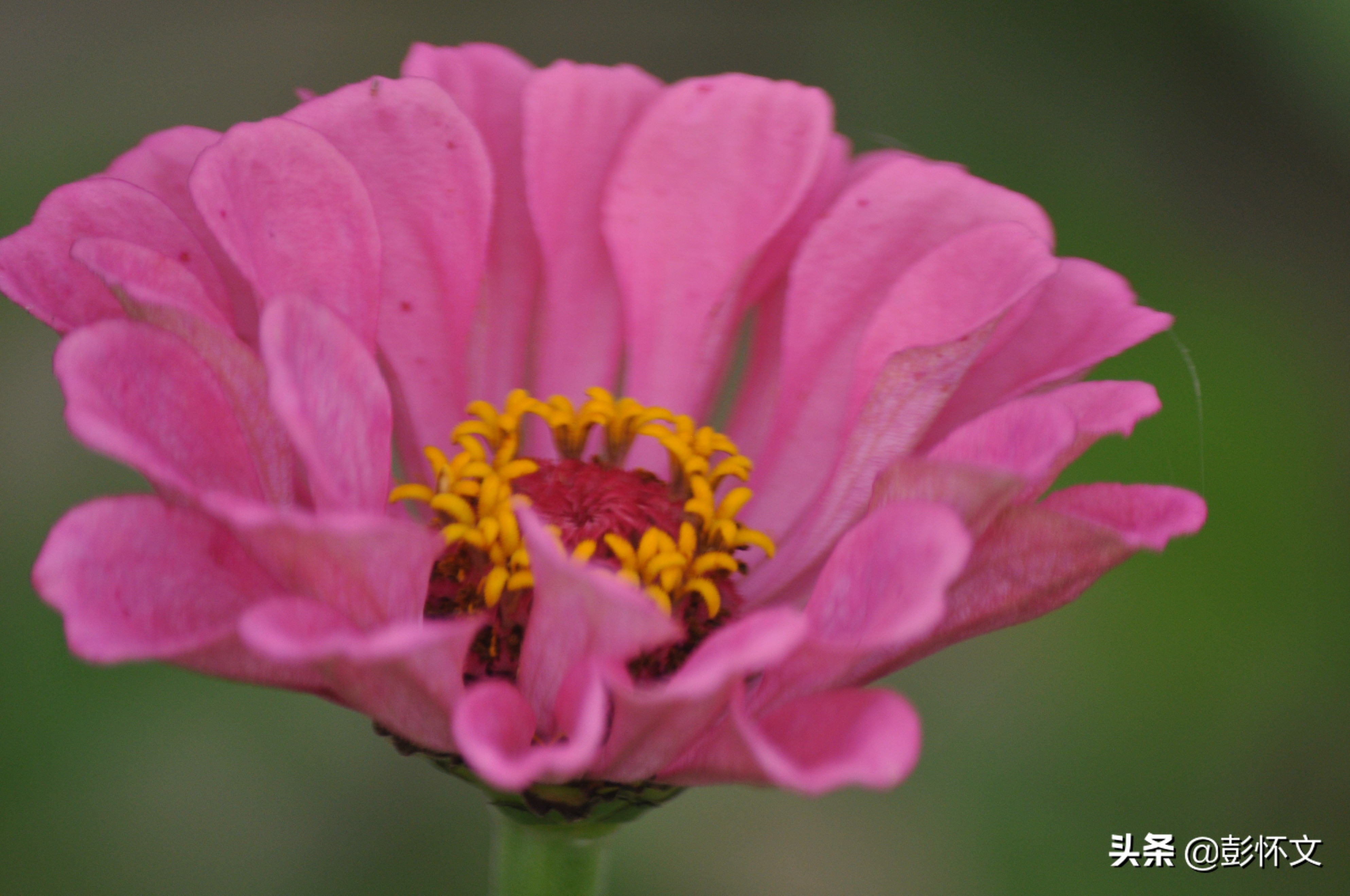 小企业低值易耗品摊销方法选哪个,企业自己耗用的低值易耗品的摊销