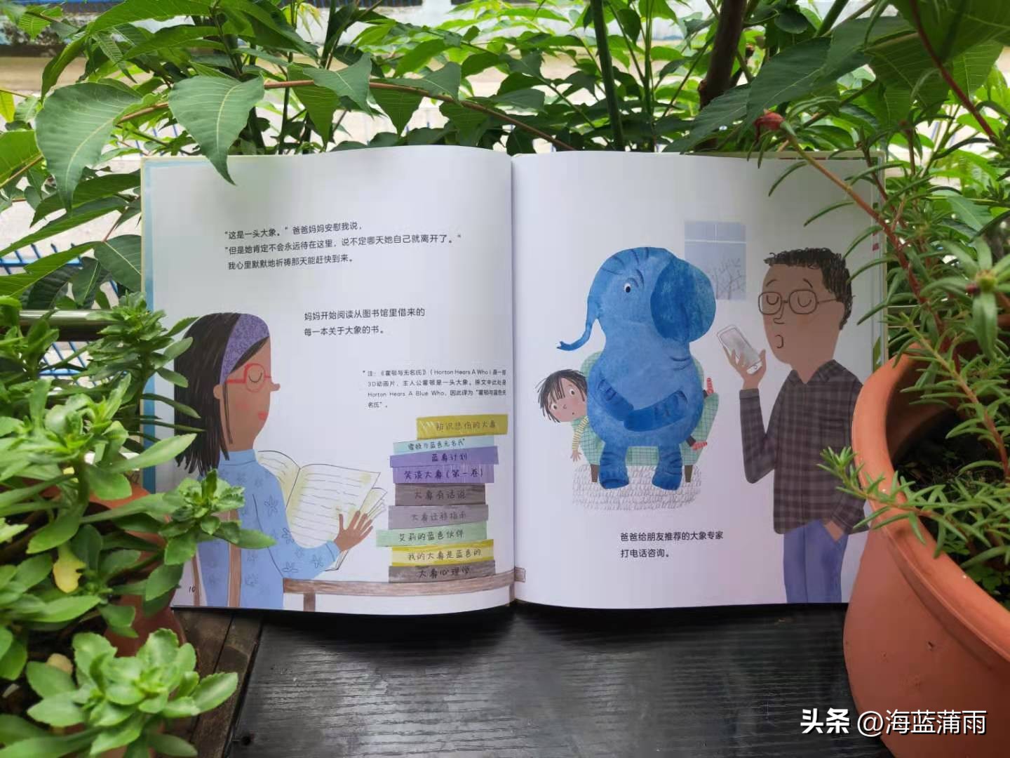 《我的大象是蓝色的》：坏情绪不可怕，掌握好方法让情绪转变