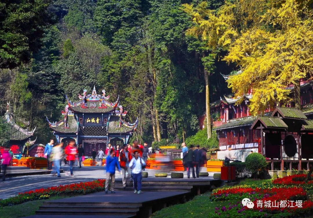 抓住秋天的尾巴！都江堰必打卡的8大晚秋好去处，步青山观烟岚云岫、入古城拾千年烟火，来过都会爱上