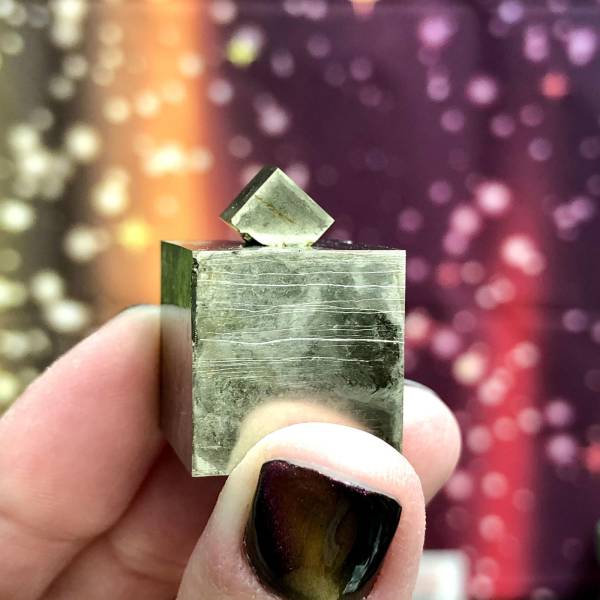 50件来自我们迷人星球的不寻常事物