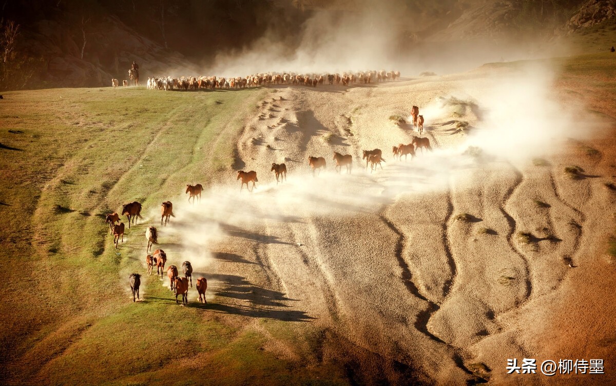 手机摄影拍摄技巧风景篇,手机专业摄影拍照技巧教程