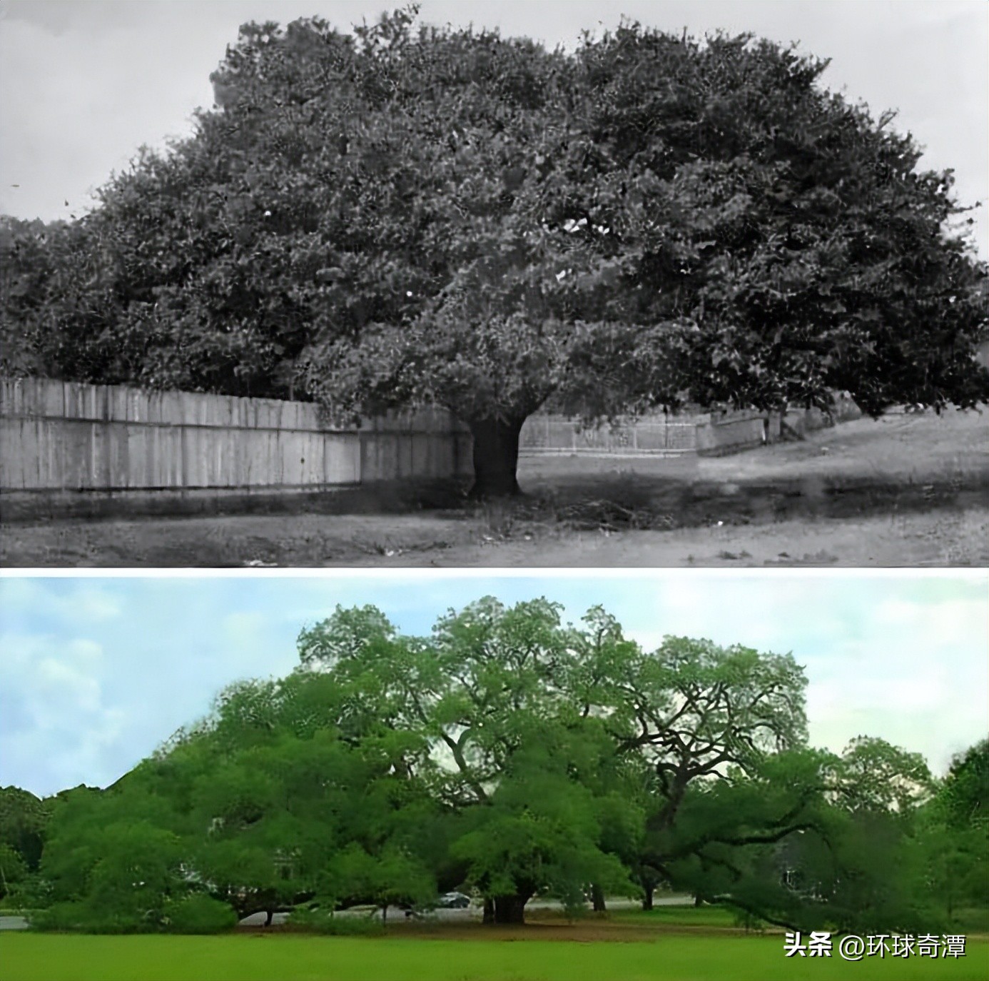 中国消失的建筑老照片,老建筑老照片大全