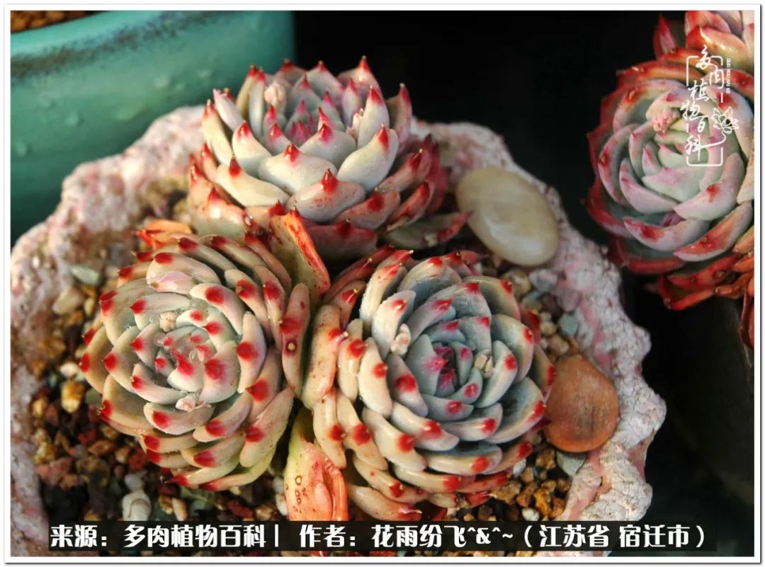 快乐的童年时光视频,回味快乐的童年美好的时光