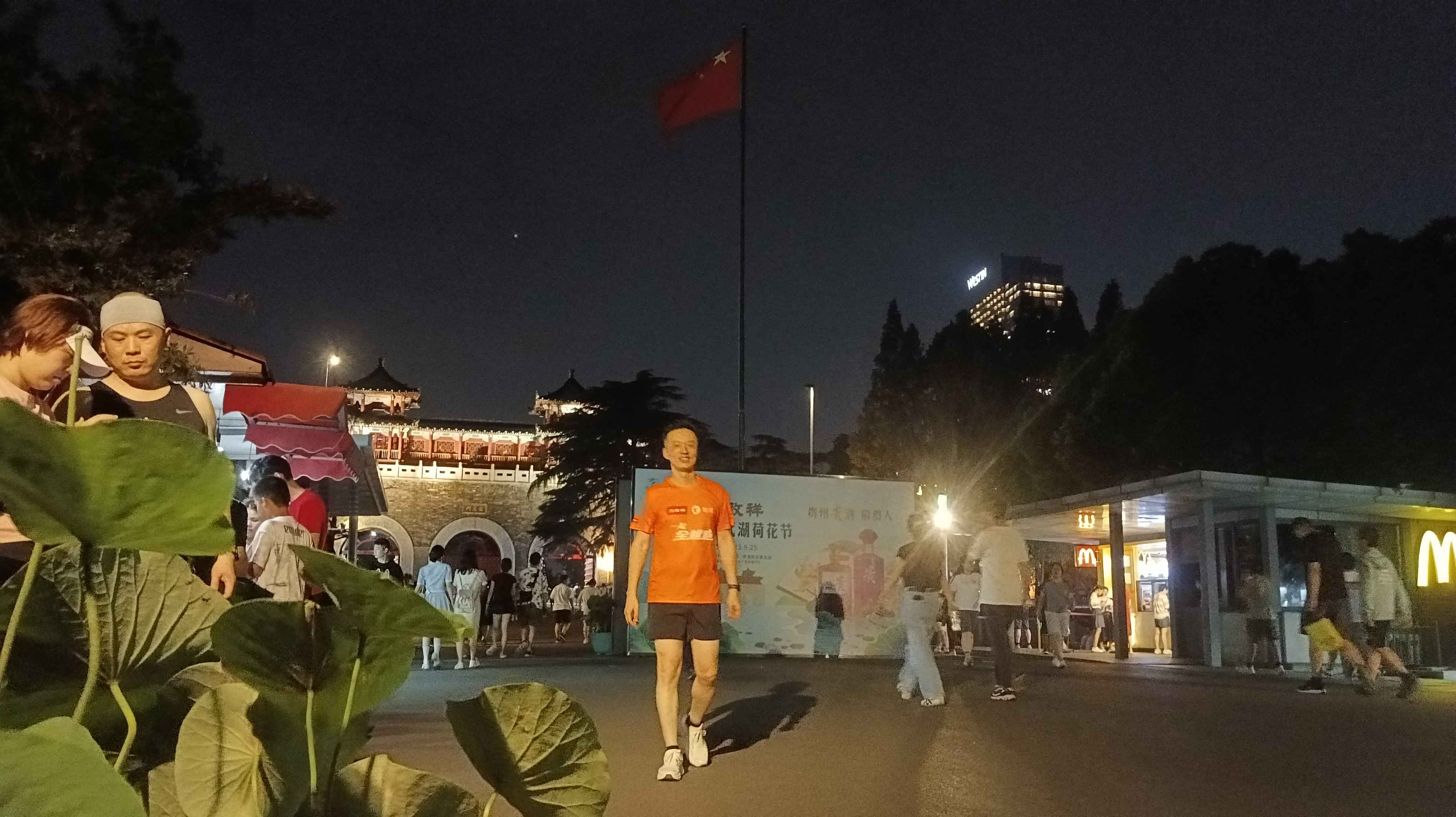 林子漫笔“微日记”,1221-1225：兔年有金“马孔多”