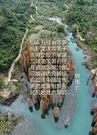 梅雨竹独唱视频,梅雨竹的作品