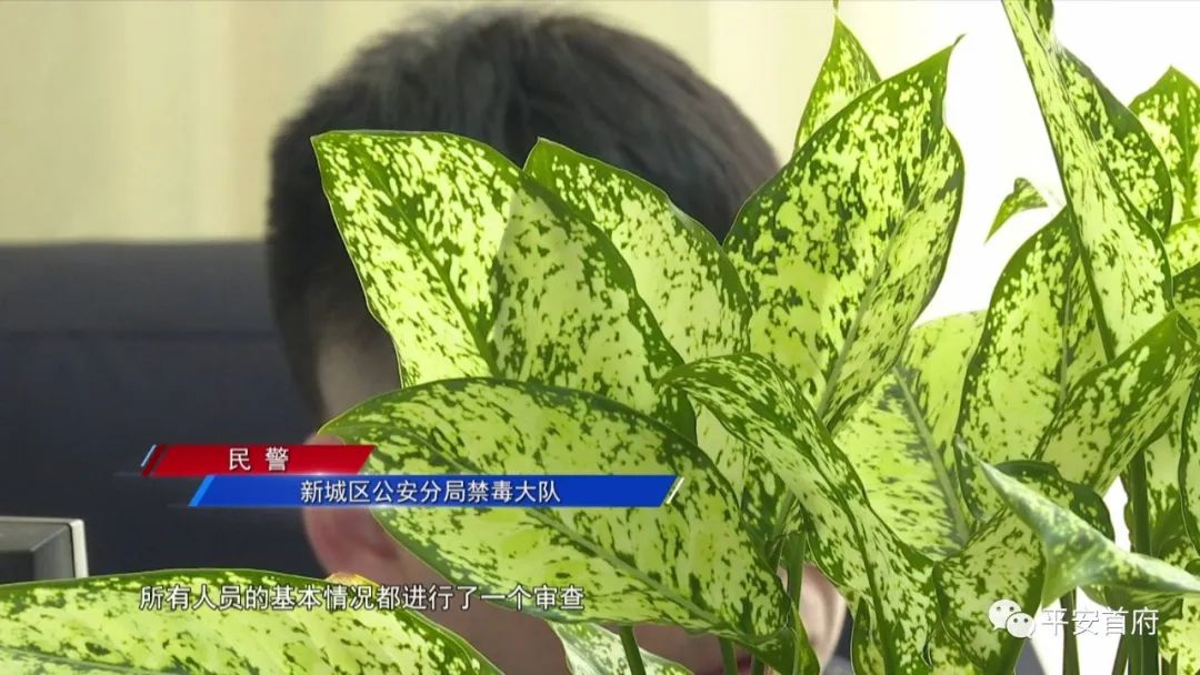 “家族式”制贩*证假**假章伪造的国家机关及企业事业单位印章三百余枚一家人全被抓