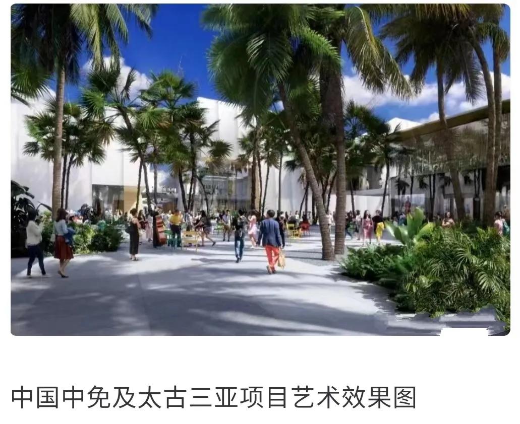 封关对中免的影响,山顶风太大