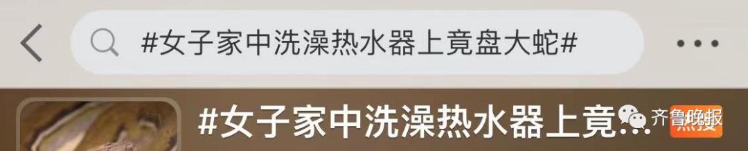 蛇总是偷吃鸡蛋怎么办,2米长蛇惊现居民楼